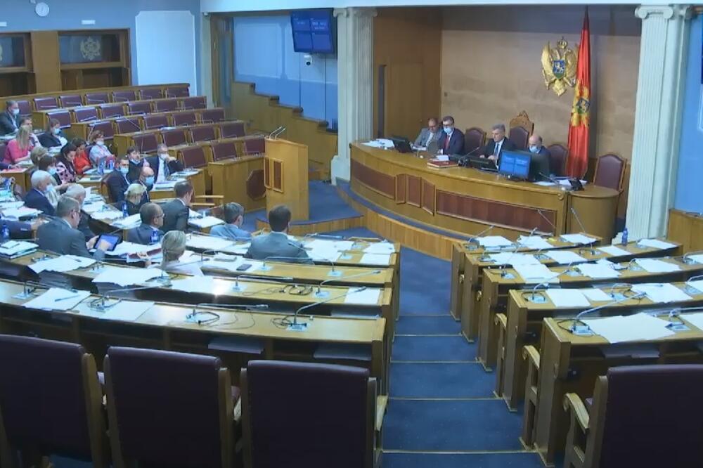 Sa sjednice, Foto: Screenshot/Youtube