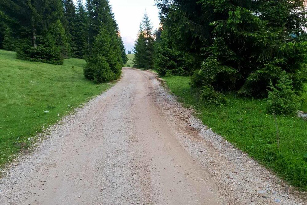 Put ka Baricama, Foto: Privatna arhiva (Facebook)