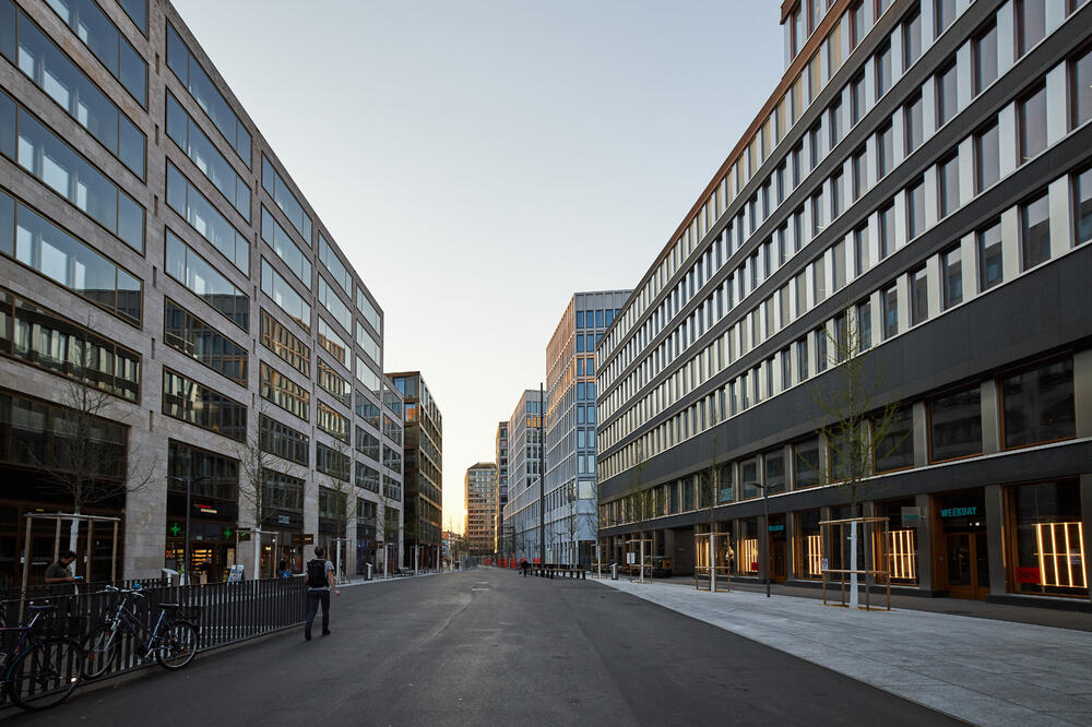 Cirih (Ilustracija), Foto: Shutterstock