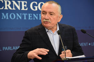 Radulović će podnijeti krivične prijave: "Kriminalna organizacija"...