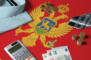 MFSS: Deficit budžeta u januaru iznosio 27,7 miliona eura, niži je...