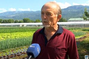 Jovović pojačava proizvodnju povrća: Zašto da uvozimo luk iz...
