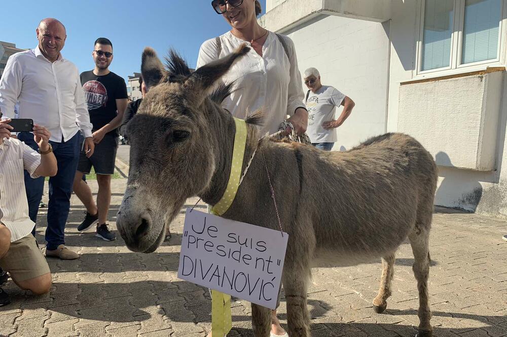 Bajković sa magarcem ispred zgrade Opštine Budva, Foto: Vuk Lajović