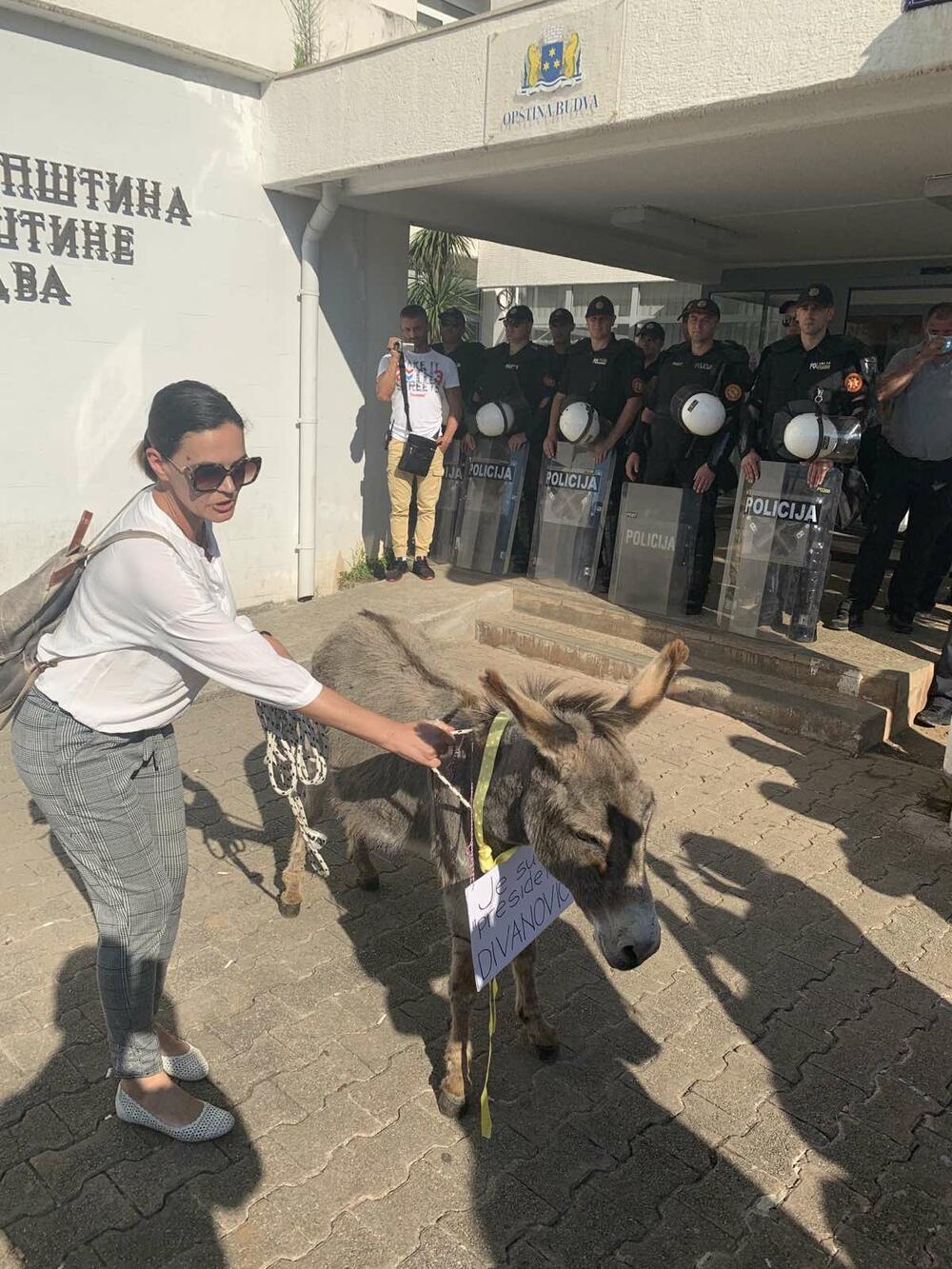 <p>"Takođe može da bude izabran jer očigledno je da u ovom gradu od strane DPS i satelita sve može i svako može da prođe", rekla je Bajković</p>