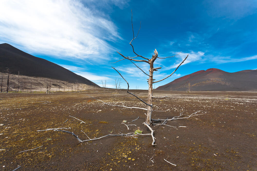 Ilustracija, Foto: Shutterstock