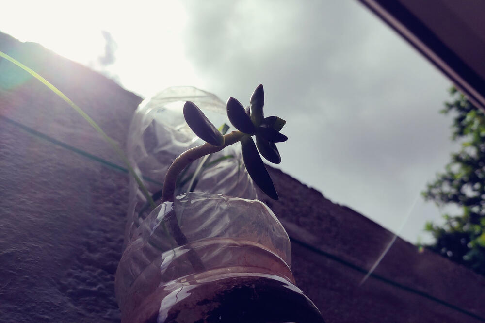 Foto: Shutterstock.com