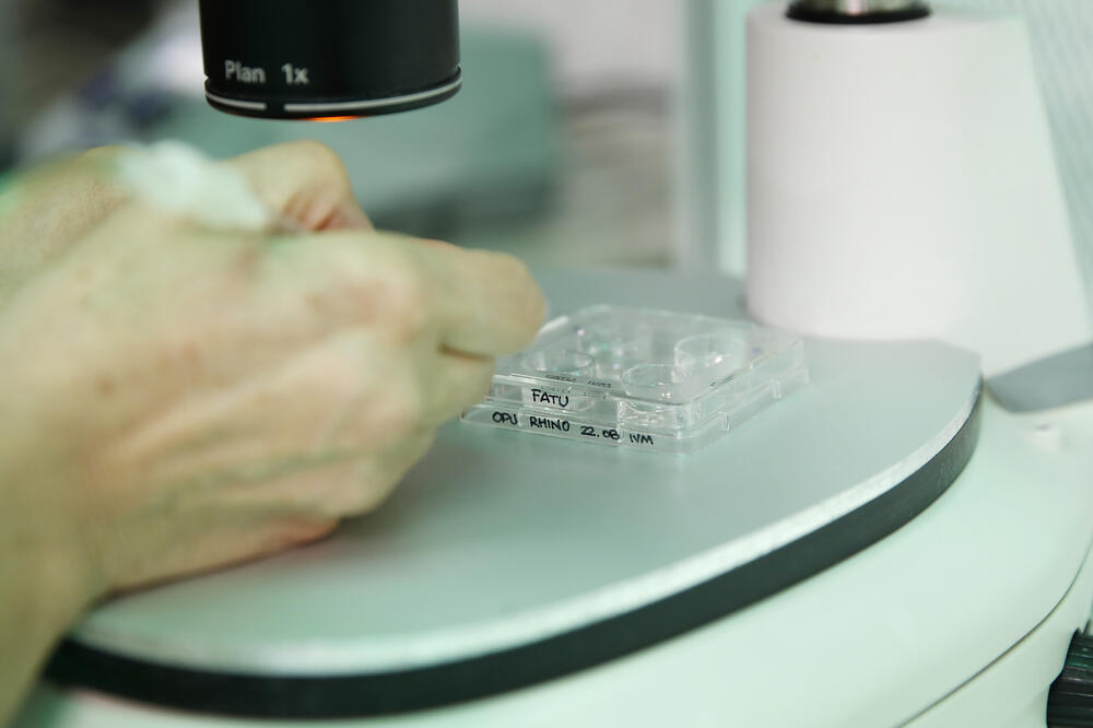 Ilustracija, Foto: AP