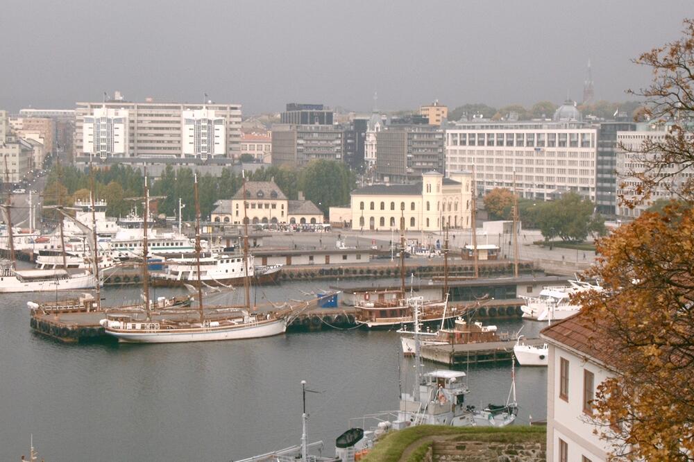 Detalj iz Norveške, Foto: D. Dedović