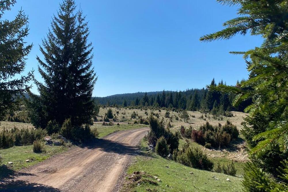 Put ka Bobovu, Foto: Goran Malidžan