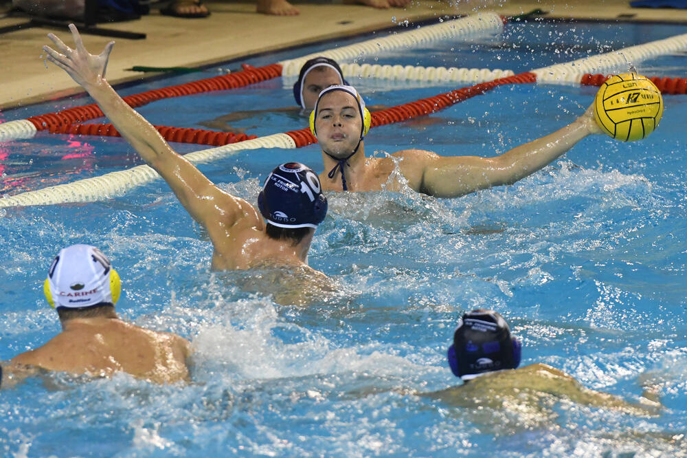 Foto: Savo Prelević