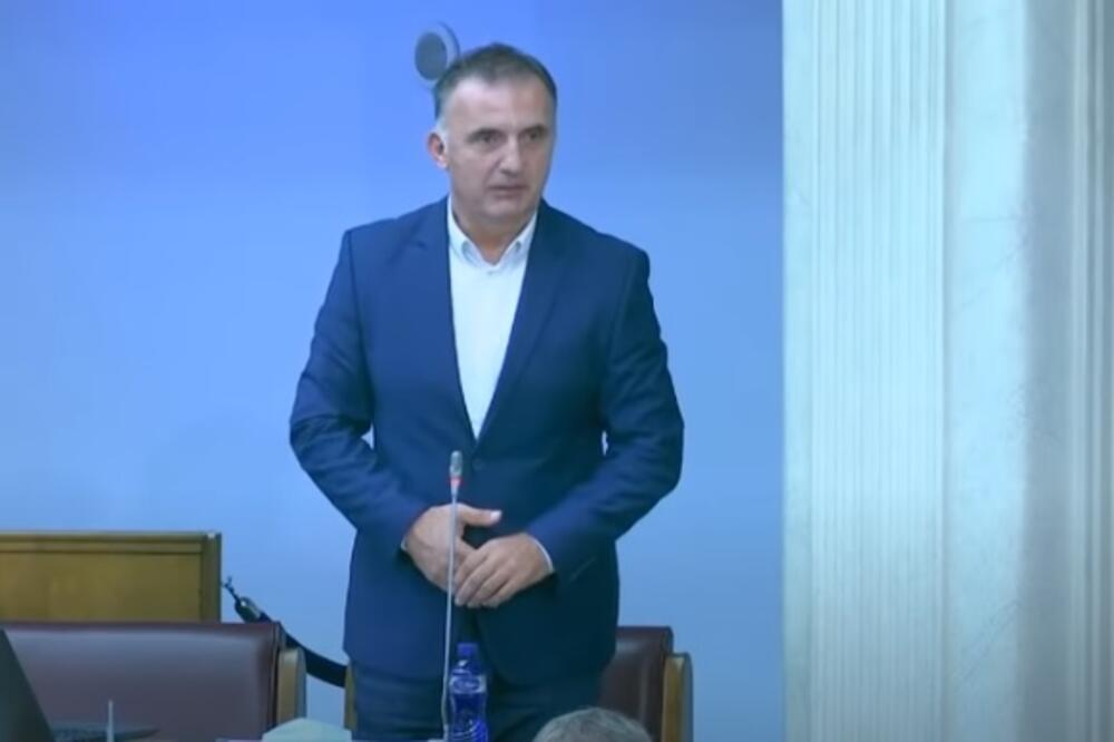 Milić, Foto: Screenshot/Skupština Crne Gore