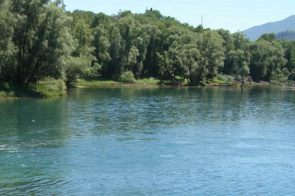 Zeta (Ilustracija), Foto: Jelena Jovanović