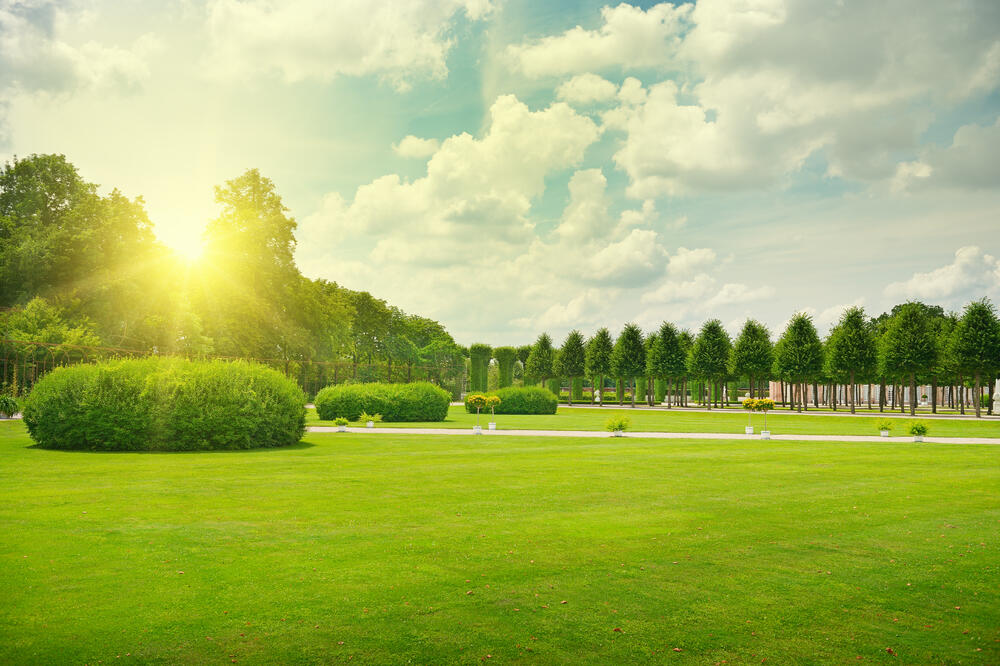 Ilustracija, Foto: Shutterstock