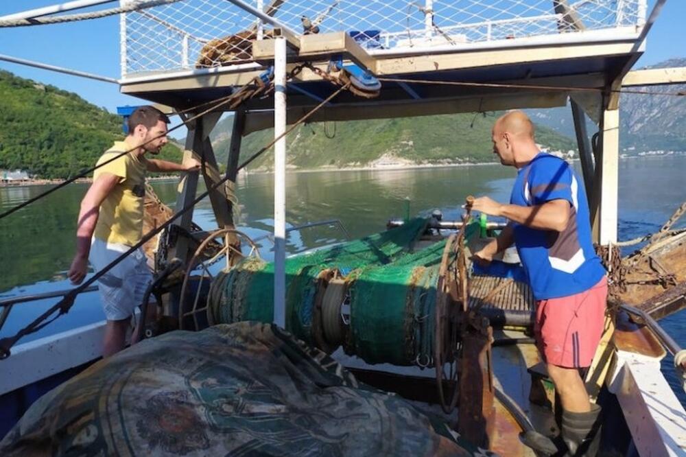 Istraživači u akciji, Foto: IBMK