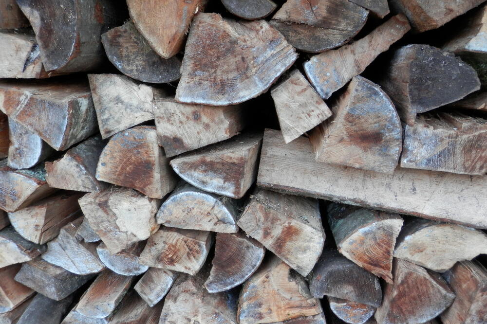 “Prije zime”, Foto: Lidija Vukčević