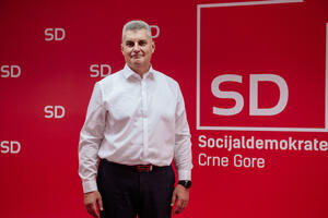 ASK kritikovao Brajovića zbog promocije SD-a na njihovom seminaru