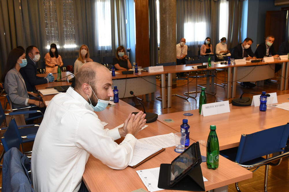 Sa sjednice Odbora za politički sistem, pravosuđe i upravu, Foto: Savo Prelević