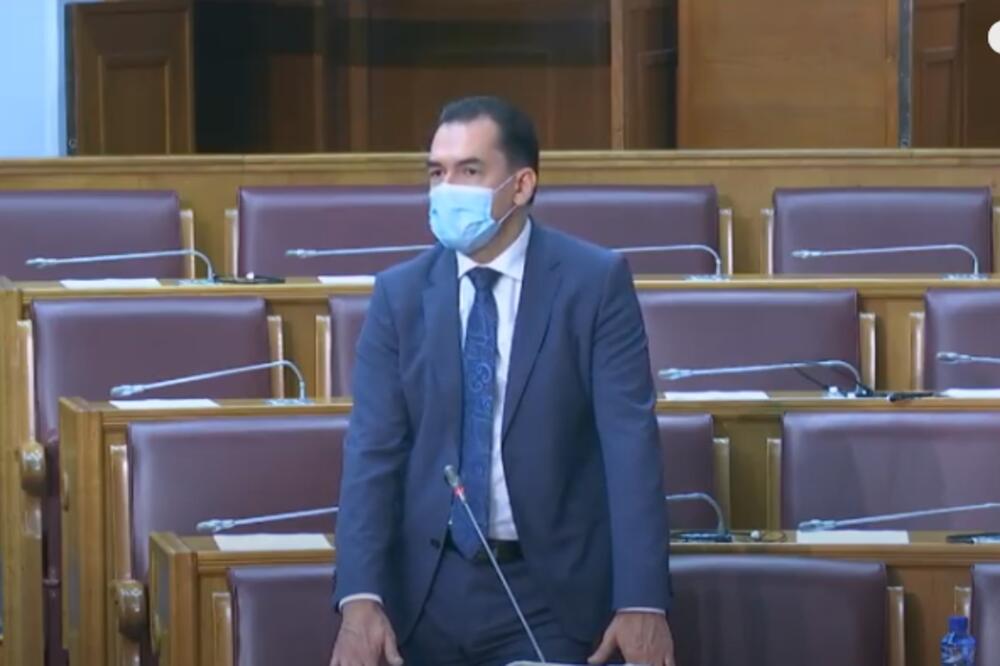 Pažin danas u parlamentu, Foto: Printscreen YouTube