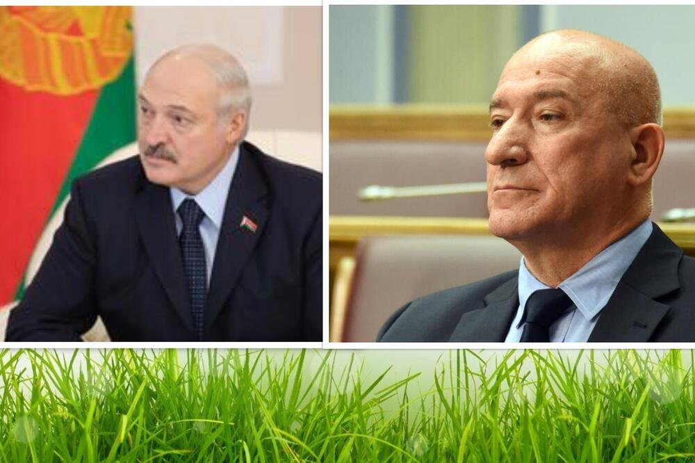 Lukašenko, Katnić, Foto: Screenshot/Photocollage