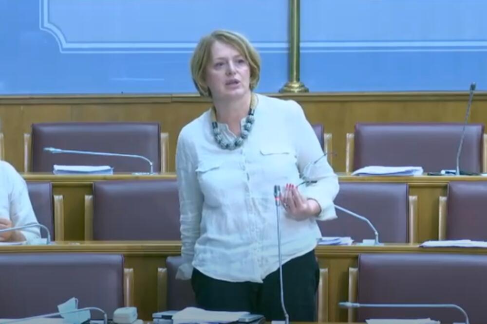 Bošnjak daans u parlamentu, Foto: Printscreen YouTube