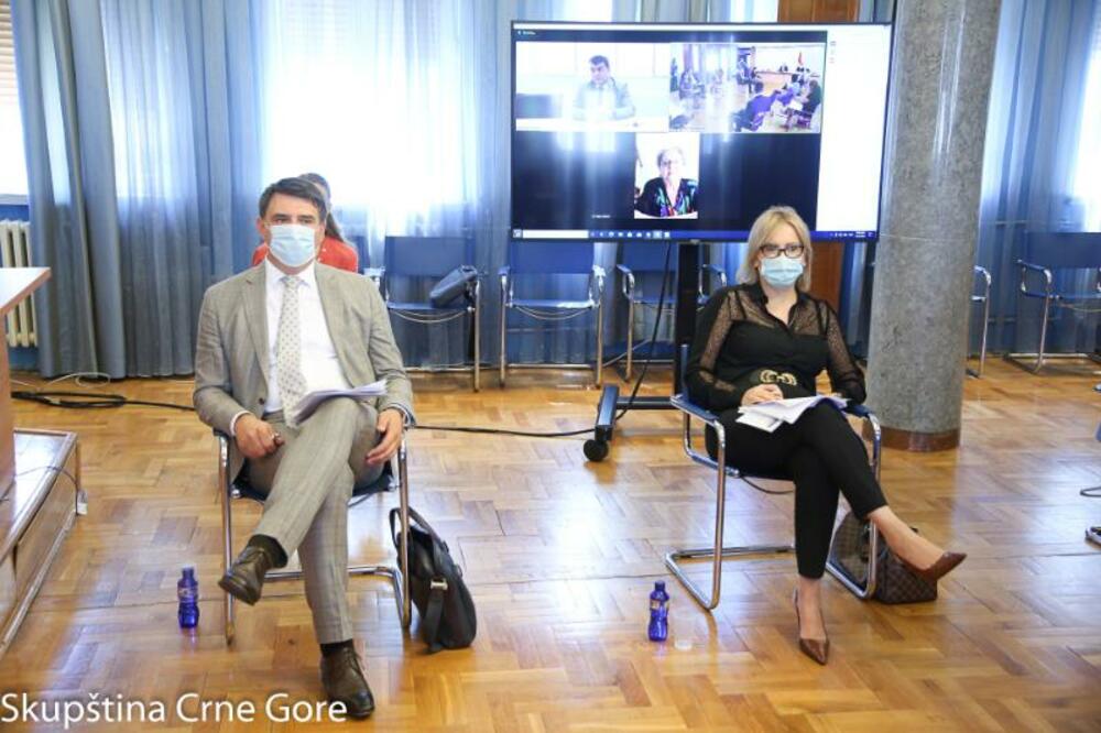 Sa sjednice Odbora, Foto: Skupština Crne Gore