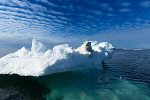 Rekordno visoka temperatura na norveškom Arktiku