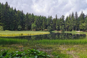 Otkrijte ljepote Visitora