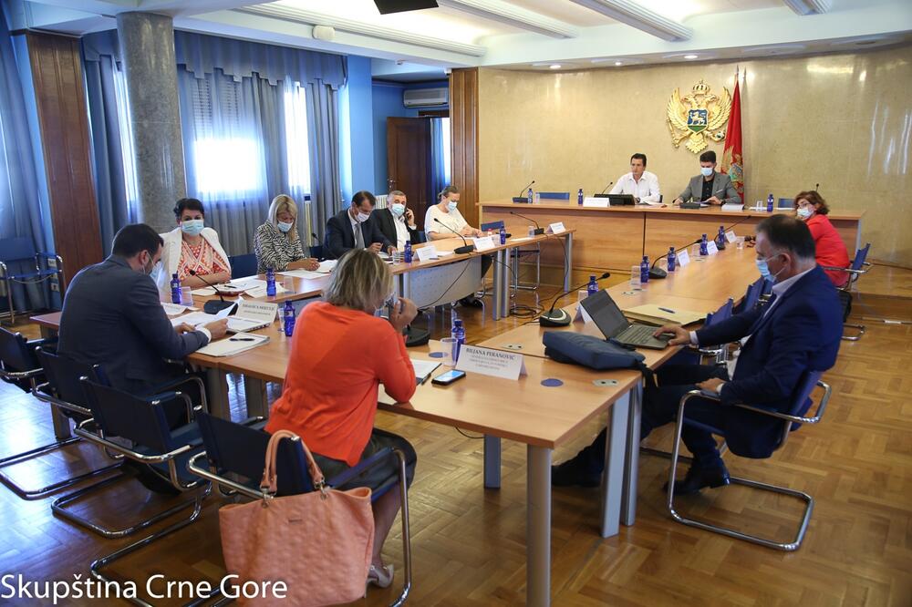 Podržali manji PDV, predlog izmjena zakona o energetici...: Sa sjednice odbora, Foto: Skupština Crne Gore