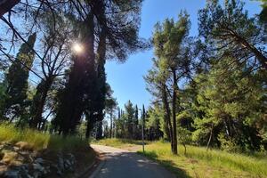 Park šuma Ljubović dobija novi mobilijar