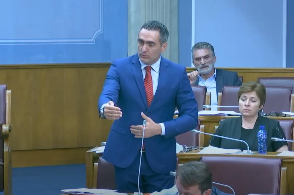Damjanović, Foto: Screenshot/Skupština Crne Gore