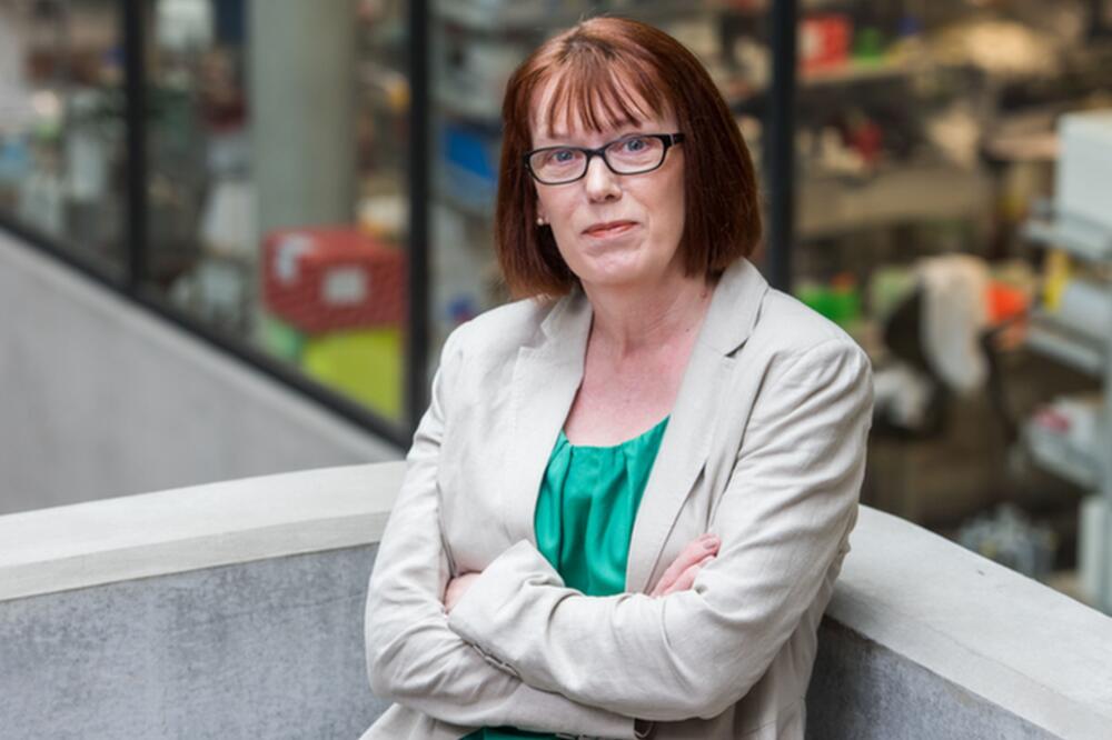 Gilbert, Foto: University of Oxford, John Cairns