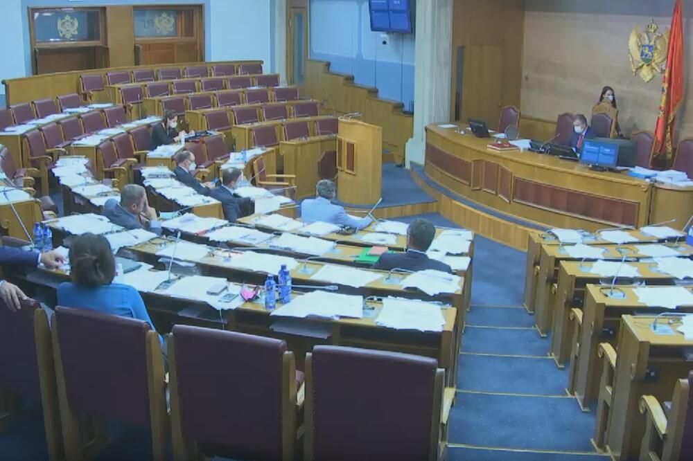 Sa sjednice parlamenta, Foto: Screenshot Youtube