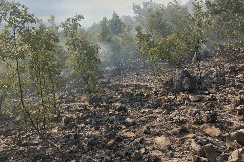 Vatrogasci nisu imali kad da dođu, Foto: Privatna arhiva
