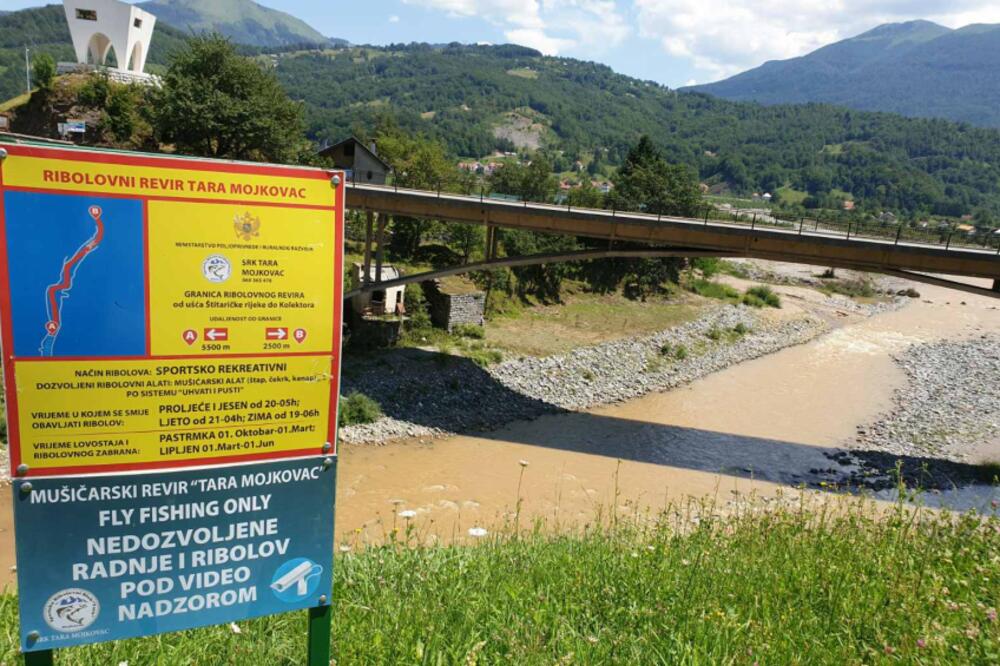 Zamućena Tara, Foto: KOR