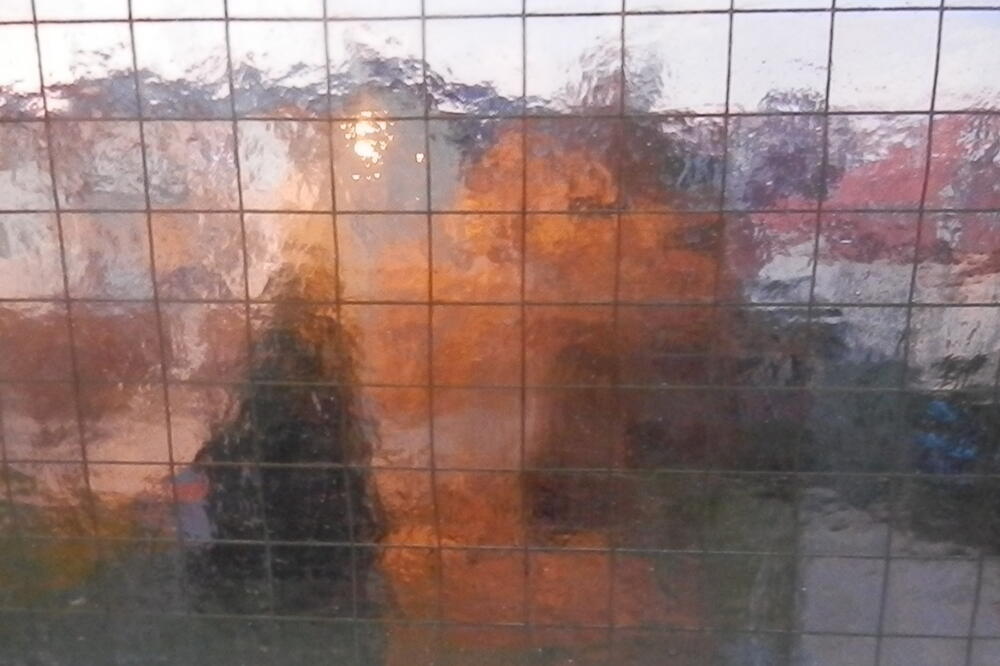 “Licentia poetica”, Foto: Lidija Vukčević