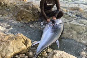 Miljan ulovio tunu od 109 kilograma