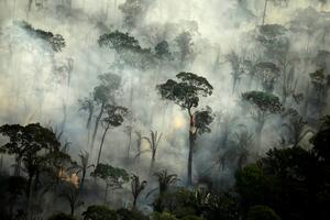 Sve veći broj požara u brazilskoj Amazoniji
