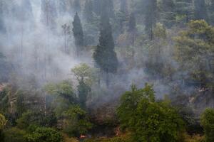 Zabrana gradnje lijek za 'investicijske' požare u Crnoj Gori