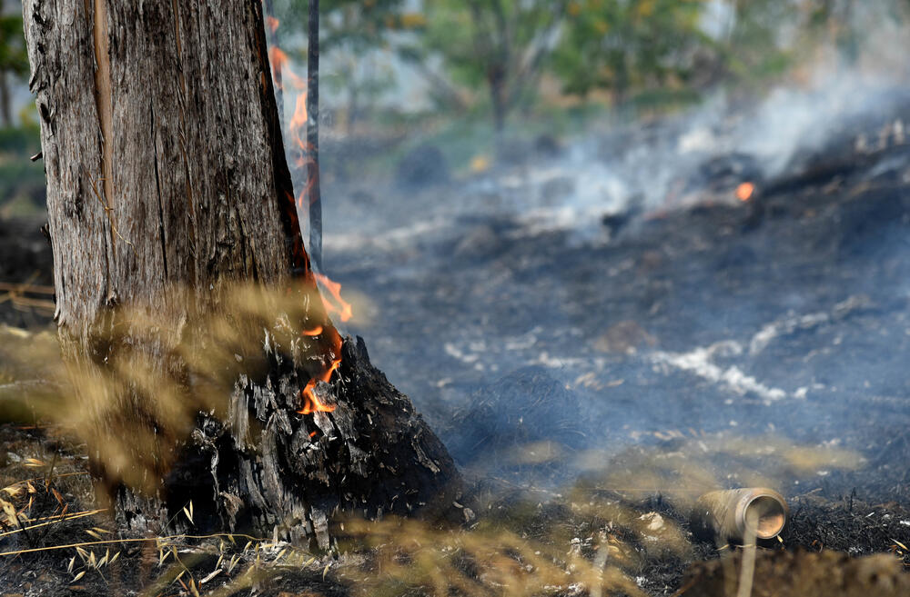 <p>Podgorički vatrogasci gase vatru koja je zahvatila travu, nisko rastinje i drveće i u blizini centra pored mosta Milenijuma</p>
