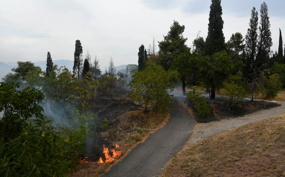<p>Podgorički vatrogasci gase vatru koja je zahvatila travu, nisko rastinje i drveće i u blizini centra pored mosta Milenijuma</p>