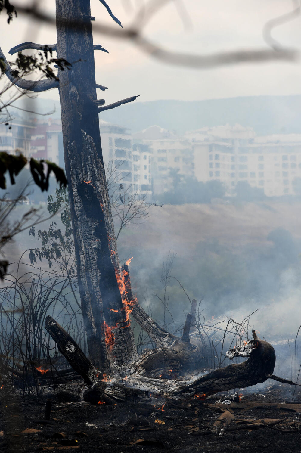 <p>Podgorički vatrogasci gase vatru koja je zahvatila travu, nisko rastinje i drveće i u blizini centra pored mosta Milenijuma</p>