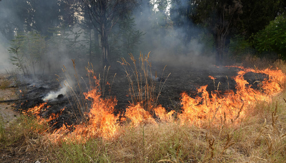 <p>Podgorički vatrogasci gase vatru koja je zahvatila travu, nisko rastinje i drveće i u blizini centra pored mosta Milenijuma</p>