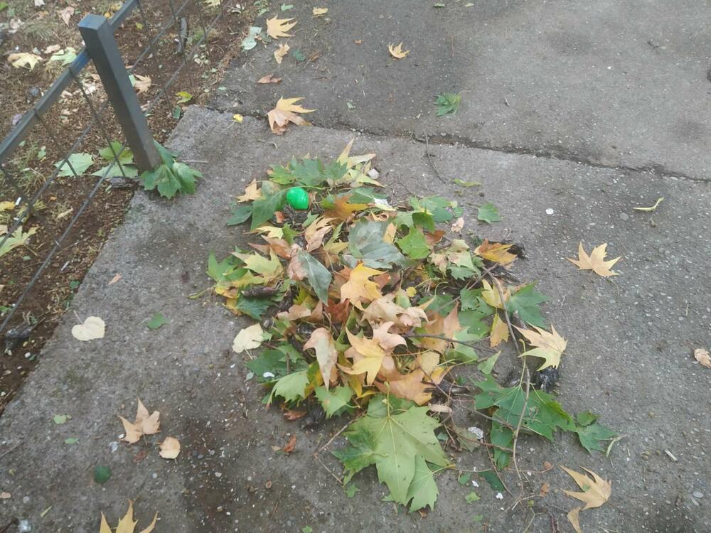 <p>"S obzirom na klimatske promjene i sve veće zagrijavanje atmosfere time i više energije u vazduhu, oluje će biti jače i destruktivnije, a ovi prizori češći"</p>