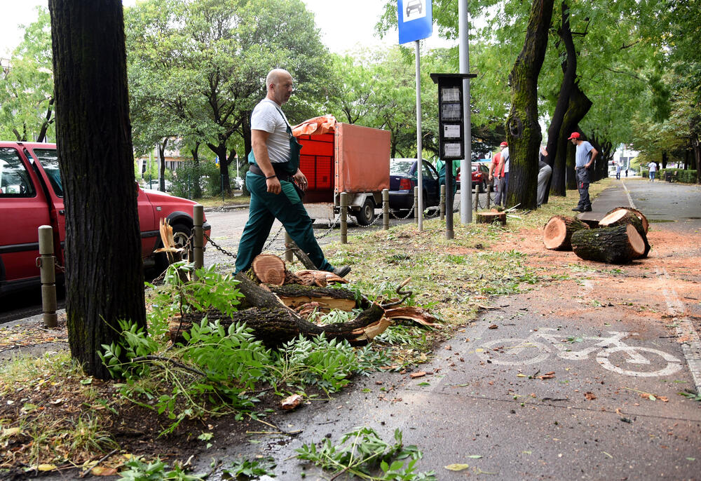 <p>Veliko nevrijeme zahvatilo je sinoć Podgoricu. </p>  <p>Oluja je pričinila veliku štetu - poplavljene su bile ulice, u pojedinim dijelovima grada je voda ušla i u podrume i poslovne prostore u suterenu, a vjetar je na dosta lokacija polomio drveće.</p>  <p>Pogledajte fotografije koje je zailježio fotoreporter "Vijesti", Luka Zeković.</p>