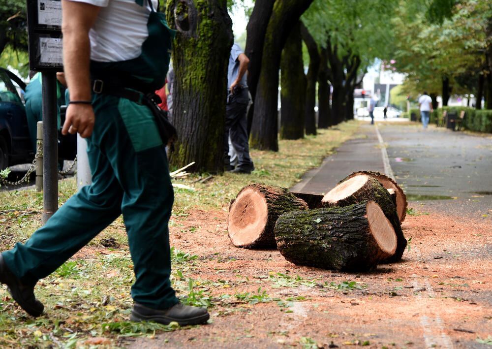 <p>Veliko nevrijeme zahvatilo je sinoć Podgoricu. </p>  <p>Oluja je pričinila veliku štetu - poplavljene su bile ulice, u pojedinim dijelovima grada je voda ušla i u podrume i poslovne prostore u suterenu, a vjetar je na dosta lokacija polomio drveće.</p>  <p>Pogledajte fotografije koje je zailježio fotoreporter "Vijesti", Luka Zeković.</p>