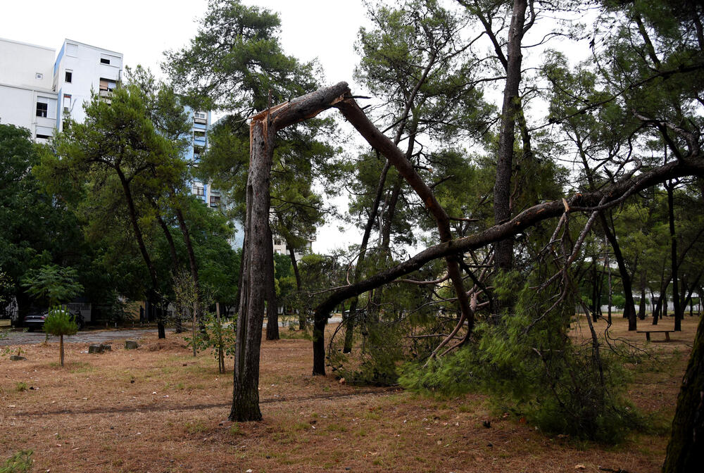 <p>Veliko nevrijeme zahvatilo je sinoć Podgoricu. </p>  <p>Oluja je pričinila veliku štetu - poplavljene su bile ulice, u pojedinim dijelovima grada je voda ušla i u podrume i poslovne prostore u suterenu, a vjetar je na dosta lokacija polomio drveće.</p>  <p>Pogledajte fotografije koje je zailježio fotoreporter "Vijesti", Luka Zeković.</p>