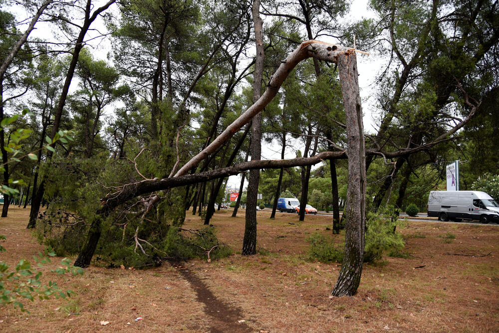 <p>Veliko nevrijeme zahvatilo je sinoć Podgoricu. </p>  <p>Oluja je pričinila veliku štetu - poplavljene su bile ulice, u pojedinim dijelovima grada je voda ušla i u podrume i poslovne prostore u suterenu, a vjetar je na dosta lokacija polomio drveće.</p>  <p>Pogledajte fotografije koje je zailježio fotoreporter "Vijesti", Luka Zeković.</p>