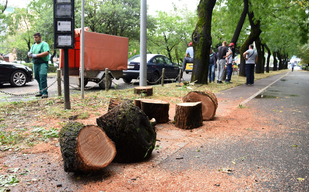 <p>Veliko nevrijeme zahvatilo je sinoć Podgoricu. </p>  <p>Oluja je pričinila veliku štetu - poplavljene su bile ulice, u pojedinim dijelovima grada je voda ušla i u podrume i poslovne prostore u suterenu, a vjetar je na dosta lokacija polomio drveće.</p>  <p>Pogledajte fotografije koje je zailježio fotoreporter "Vijesti", Luka Zeković.</p>