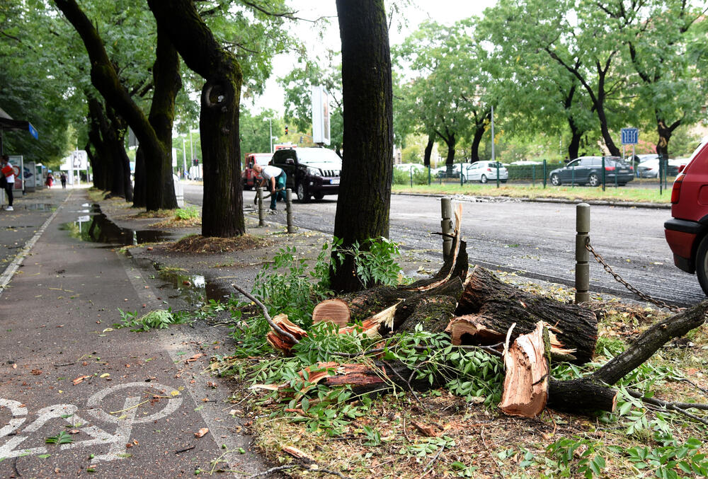 <p>Veliko nevrijeme zahvatilo je sinoć Podgoricu. </p>  <p>Oluja je pričinila veliku štetu - poplavljene su bile ulice, u pojedinim dijelovima grada je voda ušla i u podrume i poslovne prostore u suterenu, a vjetar je na dosta lokacija polomio drveće.</p>  <p>Pogledajte fotografije koje je zailježio fotoreporter "Vijesti", Luka Zeković.</p>