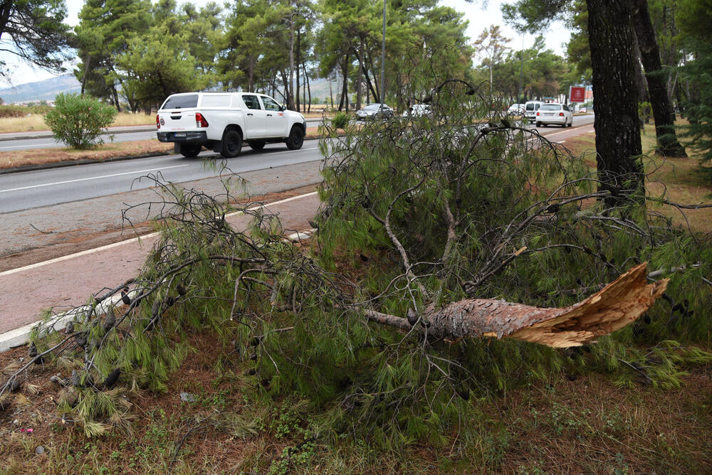 <p>Veliko nevrijeme zahvatilo je sinoć Podgoricu. </p>  <p>Oluja je pričinila veliku štetu - poplavljene su bile ulice, u pojedinim dijelovima grada je voda ušla i u podrume i poslovne prostore u suterenu, a vjetar je na dosta lokacija polomio drveće.</p>  <p>Pogledajte fotografije koje je zailježio fotoreporter "Vijesti", Luka Zeković.</p>